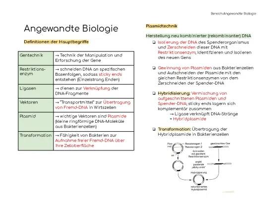 Transformation von Bakterien und Genetik einfach erklärt