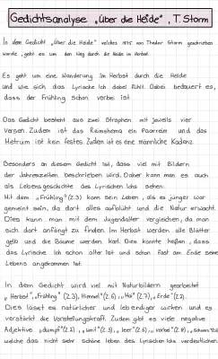 Gedichtanalyse: Über die Heide von Theodor Storm - Epoche und Vergleich