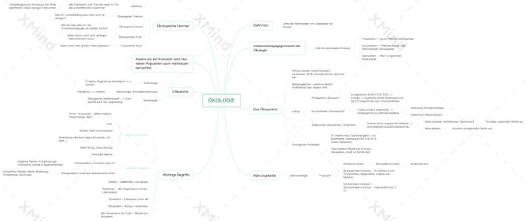 Ökosystem Wald: Ökologie Definition und Begriffe - Mindmap Biologie 5. Klasse