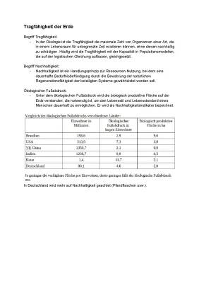 Tragfähigkeit der Erde und der Ökologische Fußabdruck: Einfach erklärt für Kinder