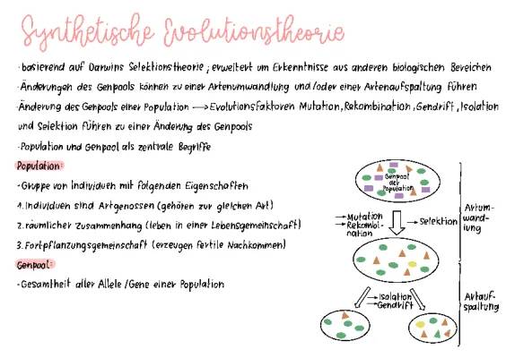 Synthetische Evolutionstheorie einfach erklärt: Mutationen, Rekombination und mehr