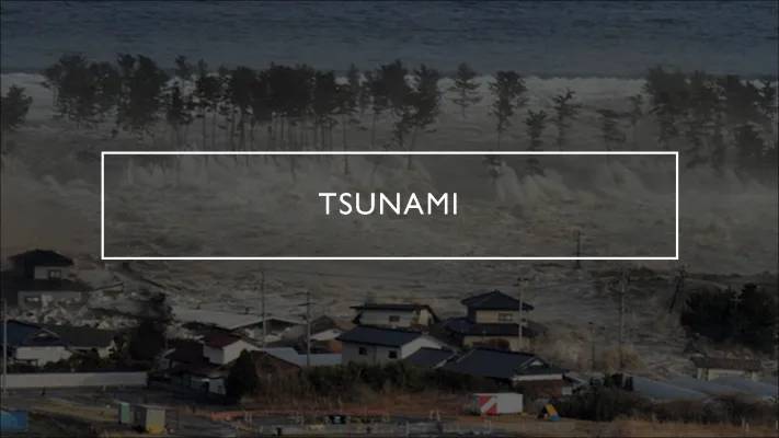 Wie entsteht ein Tsunami? - Spannende Fakten für Kinder