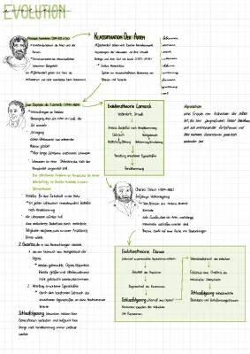 Lamarck und Darwin: Vergleich, Evolutionstheorie und Arbeitsblätter für Kids