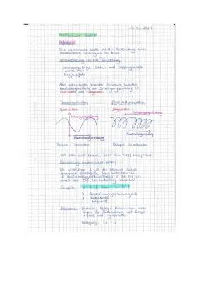 Eigenschaften und Beispiele von Mechanischen Wellen: Transversalwellen, Longitudinalwellen und mehr