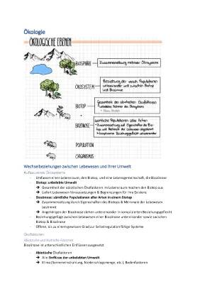 Abiotische und biotische Faktoren: Beispiele und einfache Erklärungen