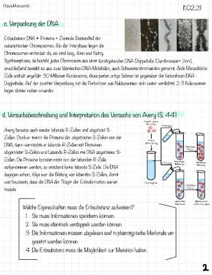 DNA-Verpackung einfach erklärt: Arbeitsblatt und Experimente von Griffith und Avery