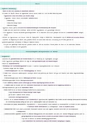 Heitmeyer Desintegrationstheorie und Gewalt Zusammengefasst