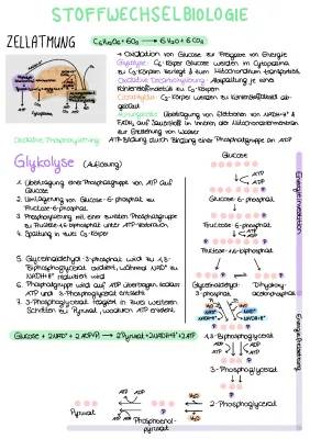 Easy Biology: Fun with Metabolism and Energy!