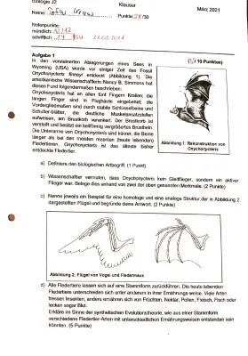 Die geheime Welt der Fledermäuse: Stinken sie wirklich?