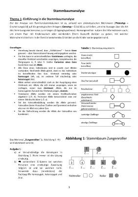 Stammbaumanalyse Übungen PDF mit Lösungen für Klasse 10