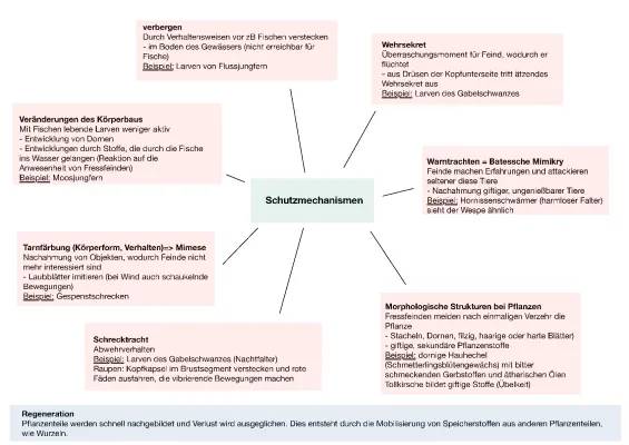 Ökologie Mindmap: Schutzmechanismen bei Tieren und Pflanzen