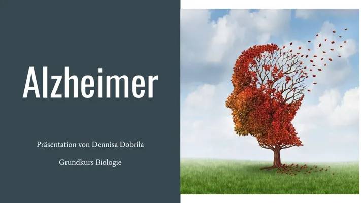 Alzheimer: Ursachen, Symptome und Lebensdauer einfach erklärt