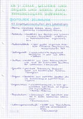 Organisationsebenen Biologie Arbeitsblatt - Einfach Erklärt für Klasse 7