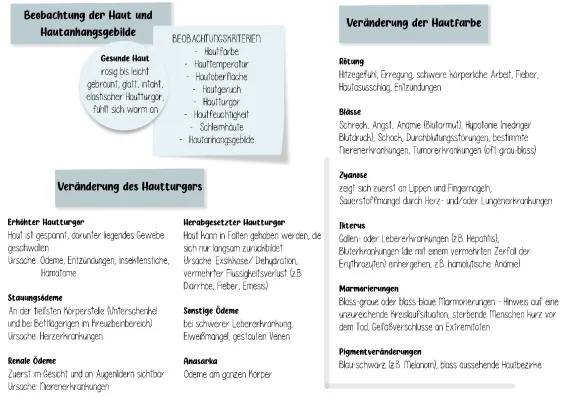 Hautturgor einfach erklärt: Reduzierter Hautturgor, Hautanhangsgebilde & seltene Hautkrankheiten