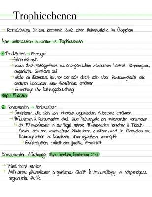 Trophieebenen und Nahrungsketten: Einfache Erklärungen und Beispiele