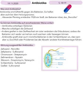 Wie schnell wirkt Antibiotika bei Entzündungen und wann hörst du auf, dich müde zu fühlen?