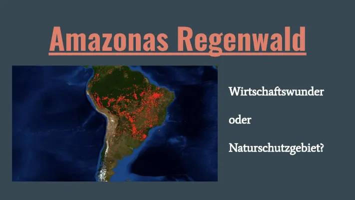 Amazonas: Zerstörung des Regenwaldes und ihre Folgen