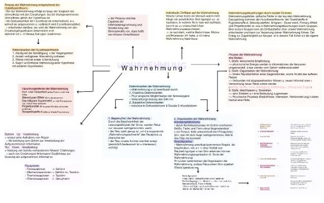 Hypothesentheorie der Wahrnehmung und Beispiele für Täuschungen