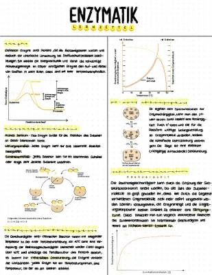 Entdecke Enzyme: Wie sie arbeiten und warum sie wichtig sind!