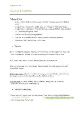 Fotosynthese, Ökologie & Neurobiologie fürs VorAbitur - Aufgaben und PDFs