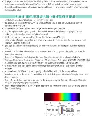 Abhängigkeit der Fotosynthese von Licht und anderen Faktoren