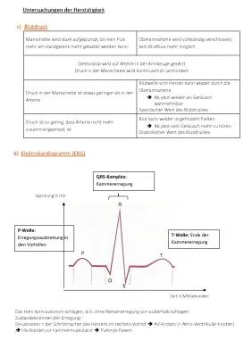 Entdecke Herzuntersuchungen: Von EKG bis Herzkatheter für Kids erklärt