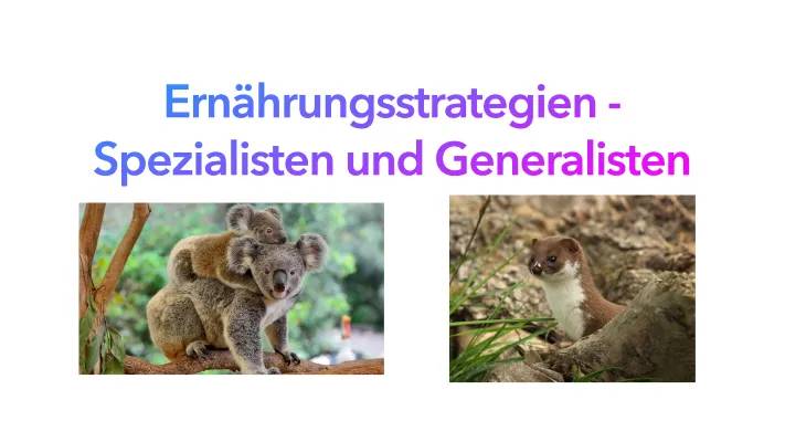 Was sind Generalisten und Spezialisten? Einfache Erklärungen für Biologie und Ökologie