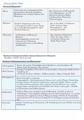 Ökosystem See einfach erklärt - Unterrichtsmaterial & PDF