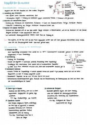 Serum-Präzipitin-Test einfach erklärt - Vor- und Nachteile, DNA-Hybridisierung, Homologiekriterien, und mehr!