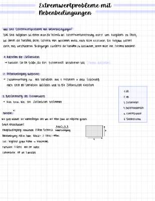 Extremwertaufgaben Übungen mit Lösungen und Beispielen PDF