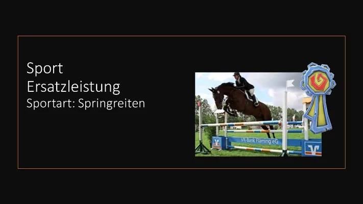 Springreiten Regeln und Klassen - L Springen, M Springen, A Springen, E Springen