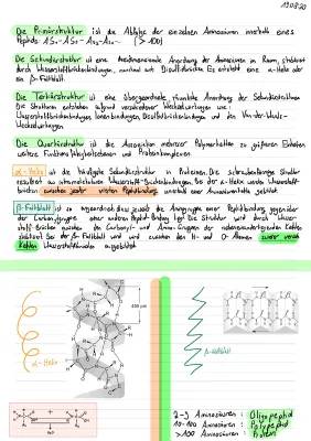 Proteine Aufbau und Struktur: Primär-, Sekundär- und Tertiärstruktur, Aminosäuren und Funktionen