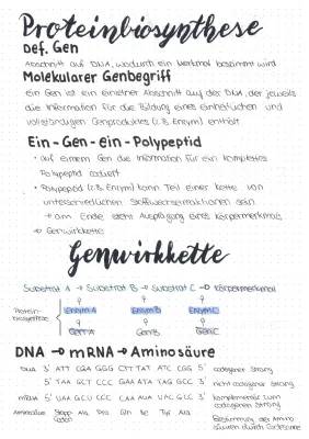 Proteinbiosynthese Ablauf und Genwirkkette - Zusammenfassung für Kids