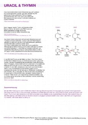 Warum DNA Thymin statt Uracil hat: Unterschied und Desaminierung erklärt!