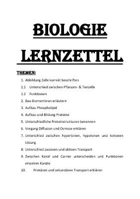 Tierzelle und Pflanzenzelle: Vergleich, Aufbau und Funktionen