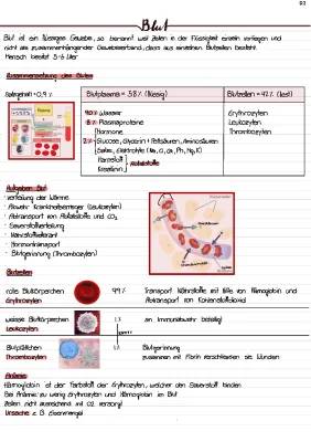 Aufgaben und Bestandteile des Blutes: Ein Arbeitsblatt