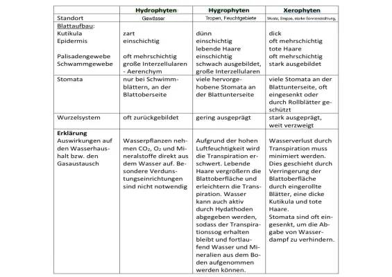 Pflanzen und ihre Blätter: Hydrophyten, Xerophyten und mehr!