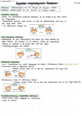 Allosterische und Nicht Kompetitive Hemmung: Einfach Erklärt mit Beispielen