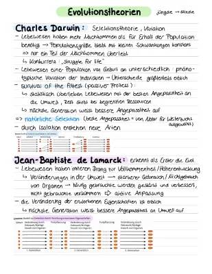 Einfache Zusammenfassung der Evolution des Menschen: Lamarck vs. Darwin erklärt