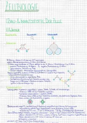 10 Eigenschaften von Wasser und Aufbau der Kohlenhydrate einfach erklärt