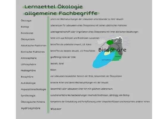 Ökologie: Wichtige Fachbegriffe und Definitionen für Kinder - PDF & Arbeitsblatt