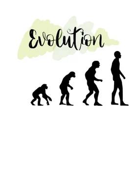 Abitur Biologie: Evolution einfach erklärt mit Darwin, Lamarck und der synthetischen Evolutionstheorie