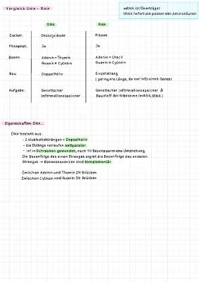 Einfach erklärt: Unterschied zwischen DNA und RNA mit Tabelle