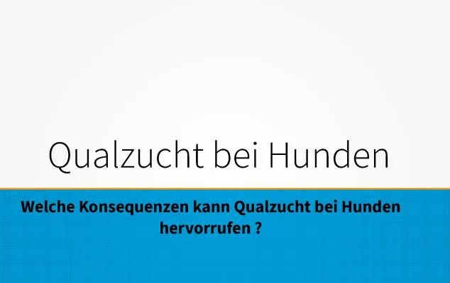 Qualzucht bei Hunden: Liste 2024, Überzüchtete und Verbotene Hunde