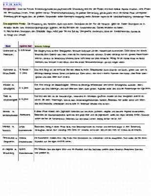 Das Erikson Stufenmodell einfach erklärt: Psychosoziale Entwicklung in 8 Stufen