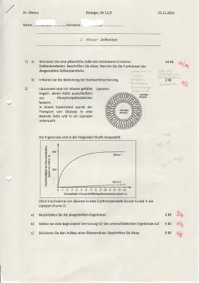 Entdecke den Biomembran Aufbau und die Kompartimentierung