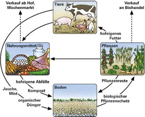 Strukturwandel in der Landwirtschaft Deutschland - Einfach erklärt mit Vor- und Nachteilen