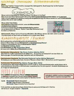 Zellmembran: Aufbau und Funktion von Lipiden und Phospholipiden einfach erklärt