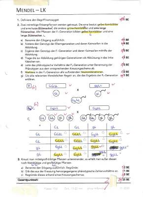 Mendelsche Regeln: Dein Spannendes Arbeitsblatt Mit Lösungen und Übungen