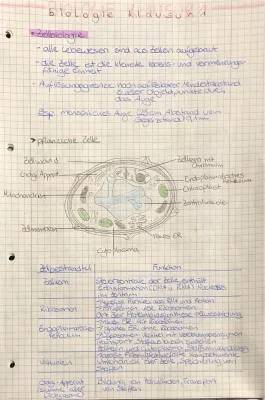 Zellorganellen und ihre Funktionen - Einfache Erklärungen und Tabellen